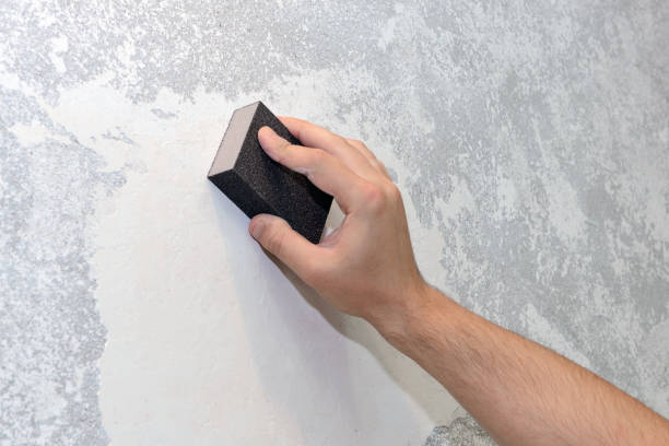 Reliable Union Springs, AL Mold Removal Solutions