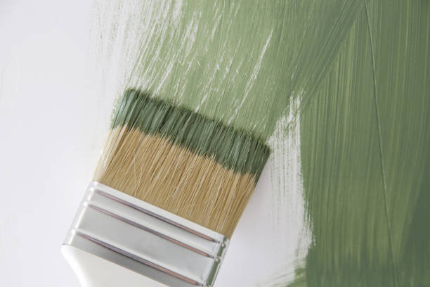 Best Emergency Mold Remediation  in Union Springs, AL